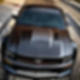 Custom Carbon Fiber Hood Mustang GT