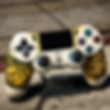 Personalized Aesthetics of Custom Controllers Customized Controller Aesthetics