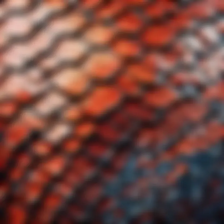 Detailed close-up of dragon scales and texture