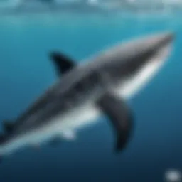 Visual representation of the Whale Shark Card within the game