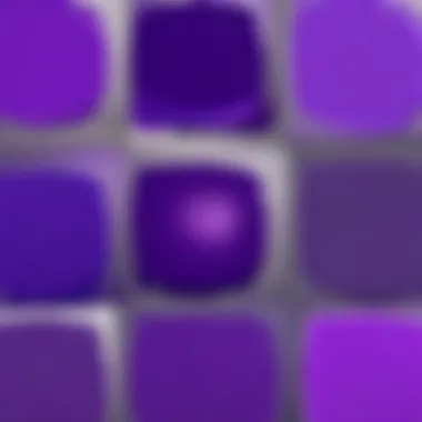 Variety of Purple Paint Shades for Customization Comparison of different shades of purple paint samples for car customization