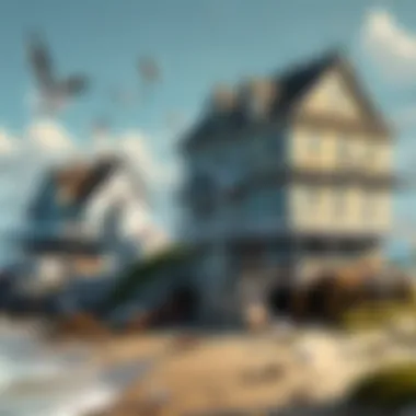 Coastal Dwellings of Seagulls Seagull Nesting High on Cliffside with Ocean View